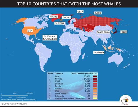 which countries still allow whaling